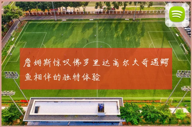 詹姆斯惊叹佛罗里达高尔夫奇遇鳄鱼相伴的独特体验